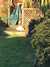 2018-01-19:Lucy decking cat
