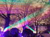 20180121180955-DSCF4190.JPG