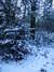 20180227173218-DSCF4236.JPG