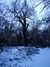 20180227173309-DSCF4238.JPG