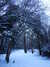 20180227173501-DSCF4243.JPG