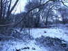 20180227174102-DSCF4255.JPG
