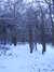 20180227174611-DSCF4262.JPG