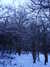 20180227174627-DSCF4264.JPG