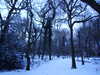 20180227174819-DSCF4267.JPG