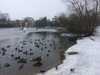 20180303120638-Photo_03-03-2018,_12_06_38.jpg