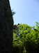 20180509105023-P1230175.JPG