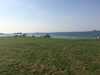 20180509175525-Photo_09-05-2018,_16_55_25.jpg