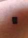 2018-09-02:Apple Harvest sd card
