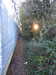 2018-10-21:Chislehurst Walk
