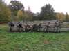20181104115049-Photo_04-11-2018,_11_50_49.jpg