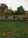 20181104115158-Photo_04-11-2018,_11_51_58.jpg