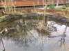 2019-01-26:London Zoo
