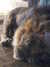 20190126121500-DSCF4559.JPG