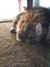 20190126121509-DSCF4560.JPG