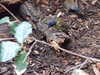 20190126123641-DSCF4579.JPG