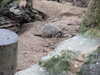 20190126142002-DSCF4671.JPG