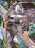 20190126143504-DSCF4683.JPG