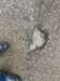 2019-02-05:Crockham Park Potholes

