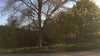 20190419080255-Photo_19-04-2019,_08_02_55.jpg