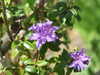 20190423150929-DSCF4710.JPG