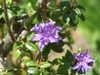 20190423150934-DSCF4711.JPG