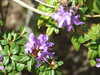 20190423150941-DSCF4712.JPG