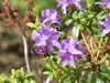 20190423150946-DSCF4713.JPG
