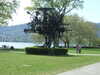 20190423150954-DSCF4714.JPG