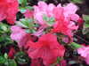 20190424163945-DSCF4727.JPG
