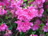 20190424164007-DSCF4728.JPG