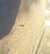 20190430092424-Photo_30-04-2019,_08_24_24.jpg