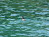 20190430130334-DSCF4767.JPG