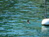 20190430130344-DSCF4768.JPG