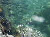 20190430130756-DSCF4776.JPG