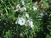 20190430133717-DSCF4788.JPG
