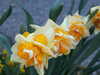 20190430135750-DSCF4794.JPG
