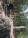 2019-05-25:Dropzone
