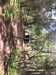 20190525113525-Photo_25-05-2019,_11_35_25.jpg