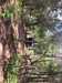20190525113526-Photo_25-05-2019,_11_35_26.jpg