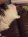 2019-07-01:Felicity
