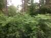 20190706173746-Photo_06-07-2019,_17_37_46.jpg