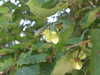 20190716004237-DSCF4814.JPG
