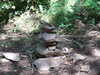 20190716005906-DSCF4825.JPG
