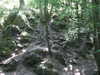 20190716011320-DSCF4829.JPG