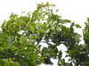 20190806135237-DSCN0005.JPG