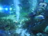 20190824102259-DSCN0076.JPG