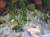 20190824102917-DSCN0088.JPG