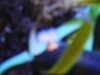 20190824103201-DSCN0098.JPG