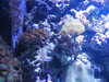 20190824103725-DSCN0119.JPG